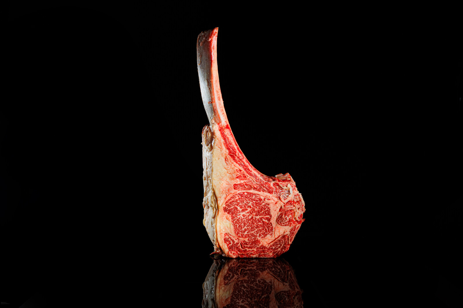 Tomahawk crudo tenuto in mano davanti a un fondo scuro