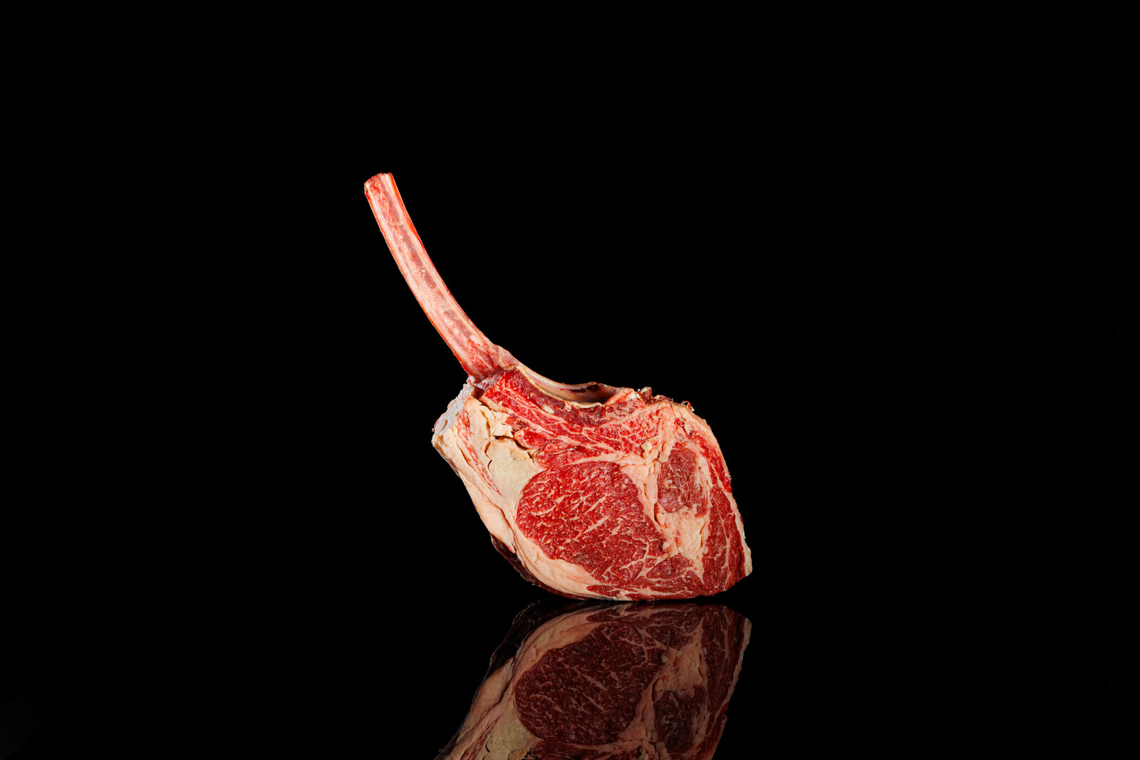 Tomahawk crudo sollevato per l osso, con il grasso in evidenza