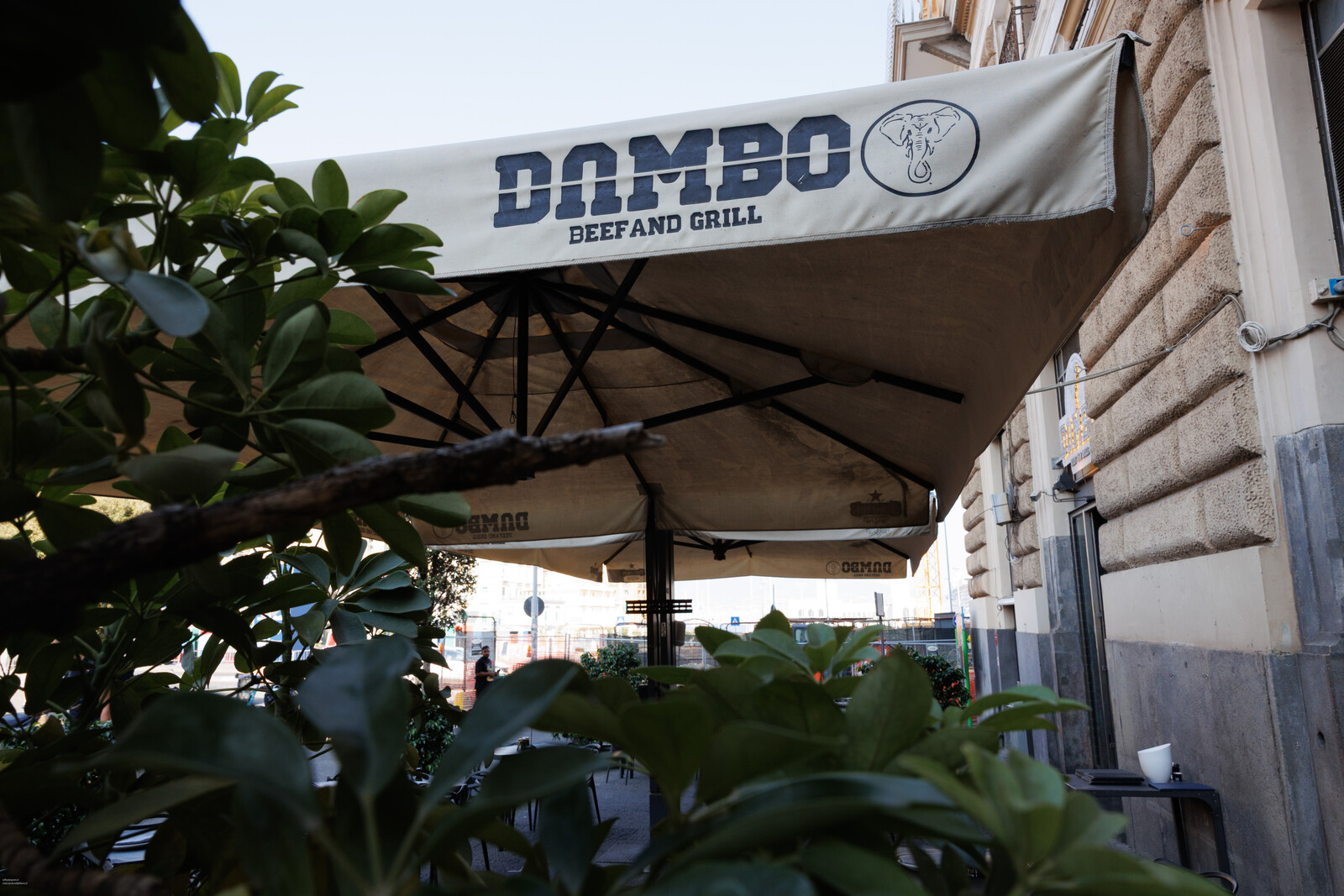 Ombrellone con il marchio Dambo Beef and Grill fra le piante